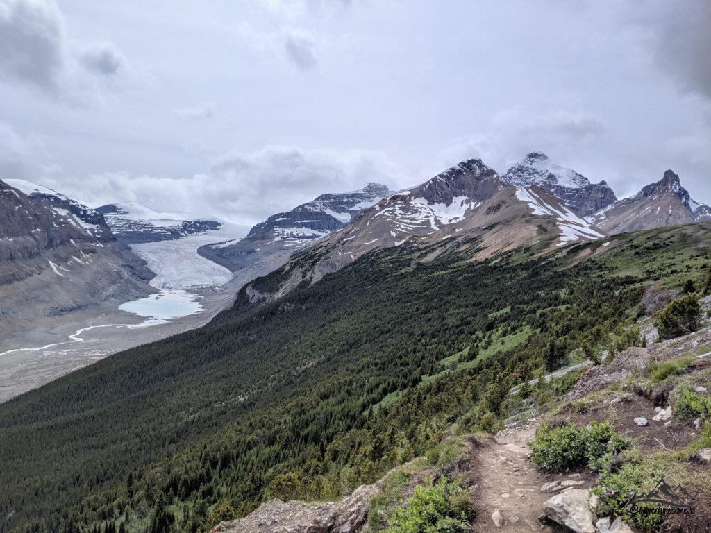 Saskatchewan Glacier as seen from Prarker Ridge Trail in Banff National Park