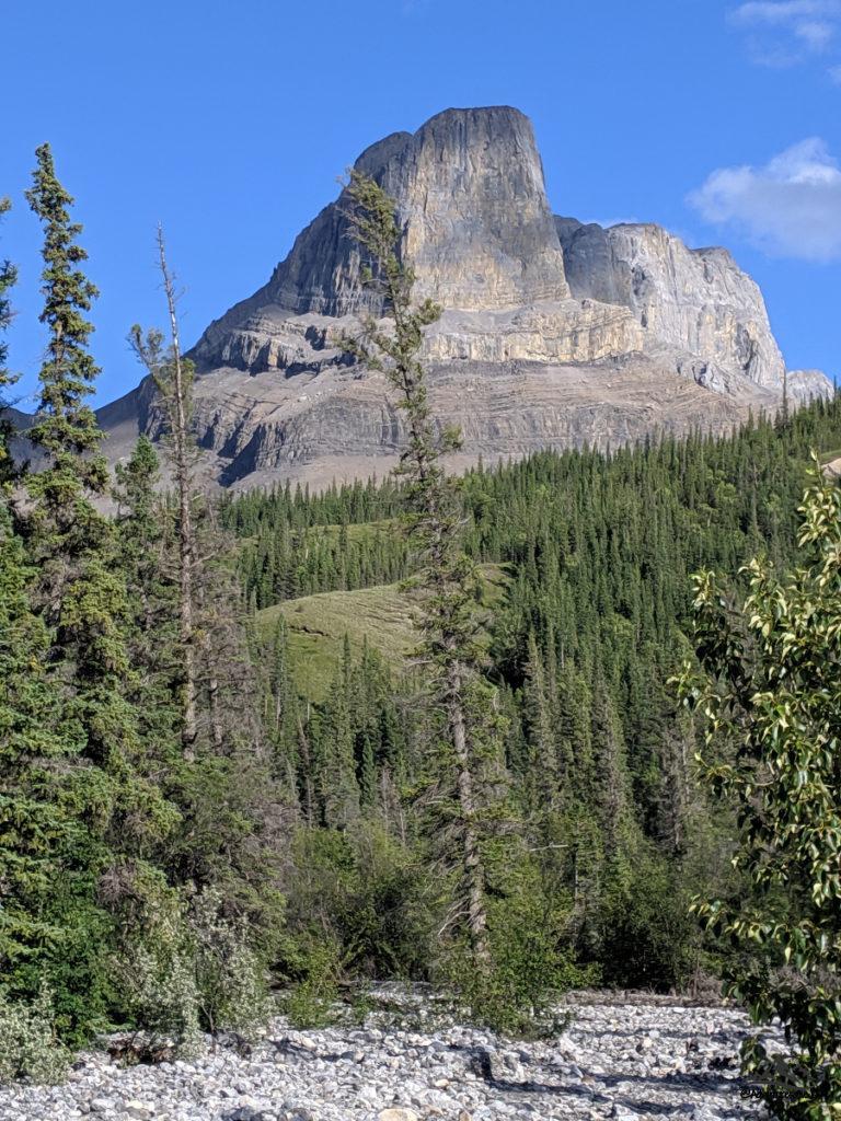 Roche Miette behind the trees and meadow at its feet