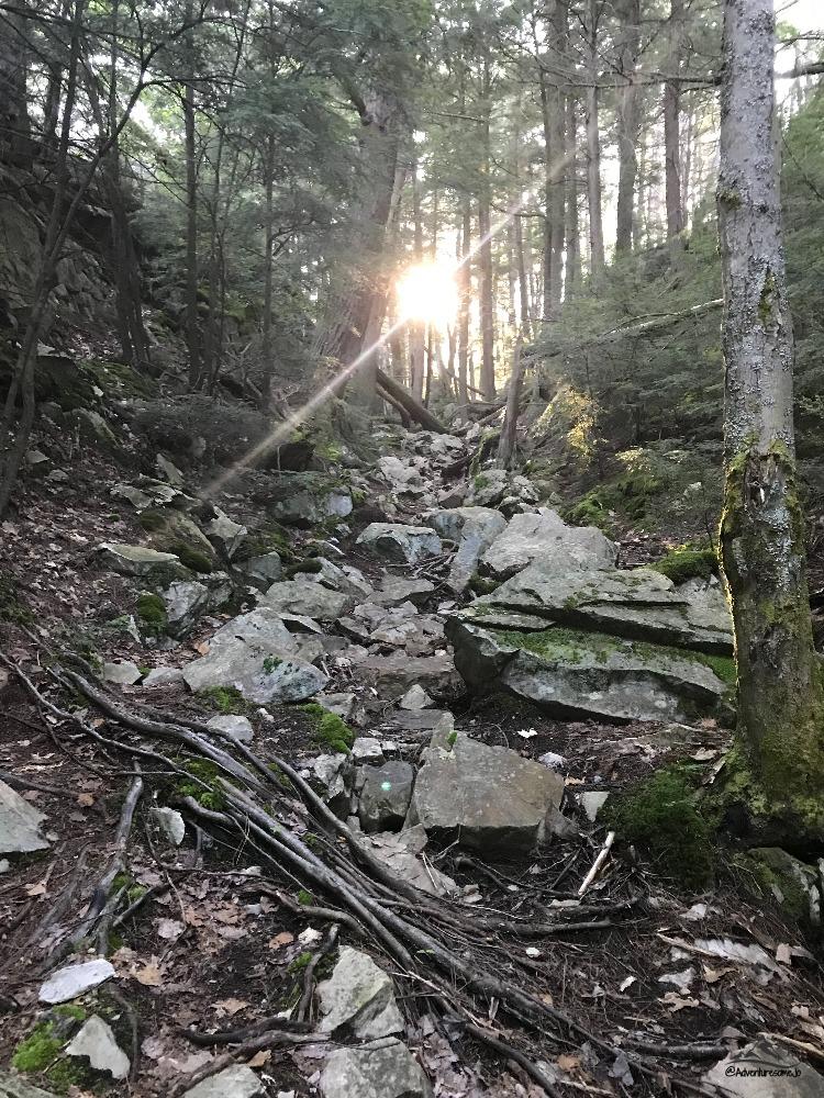 sun shining through the trees on La cloche silhouette trail