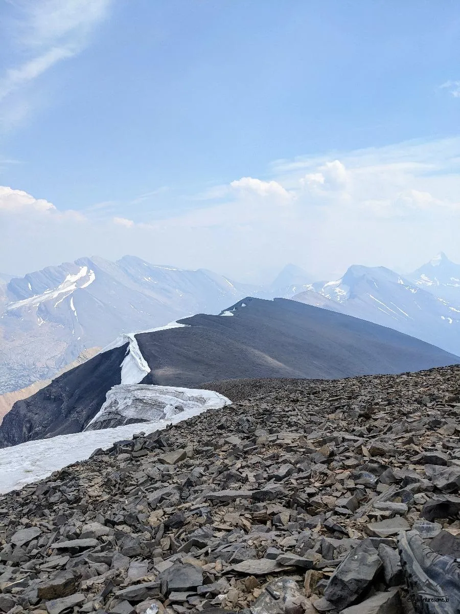 Tangle Ridge hike in the Canadian Rockies
