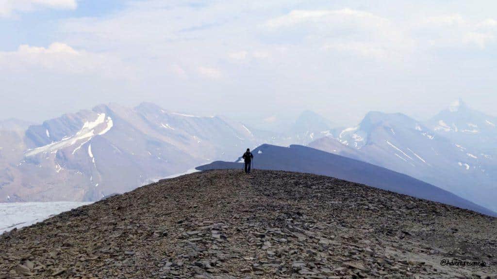 hiker walking the ridge on the summit of Tangle Ridge in the Canadian Rockies
