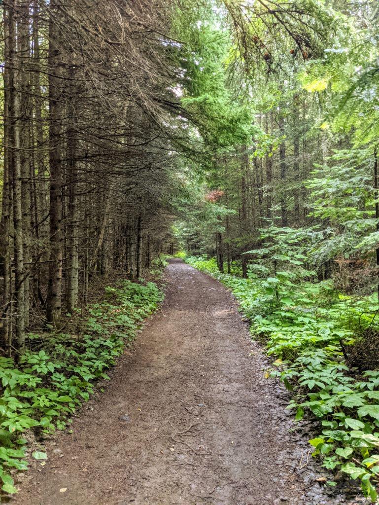 Kabeyun Trail in Sleeping Giant Provincial Park