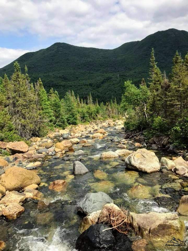 crossing the Devil's Creek strewn with rocks and bordered by conifers on the chic-chocs traverse