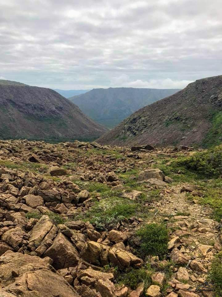 Mont Albert Summit with the serpentine rust-coloured rocks