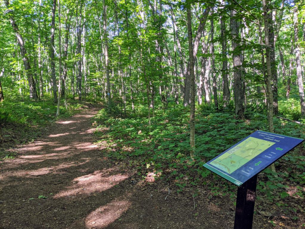 sentier de randonnée bordé d'arbres dans le parc provincial Pancake Bay