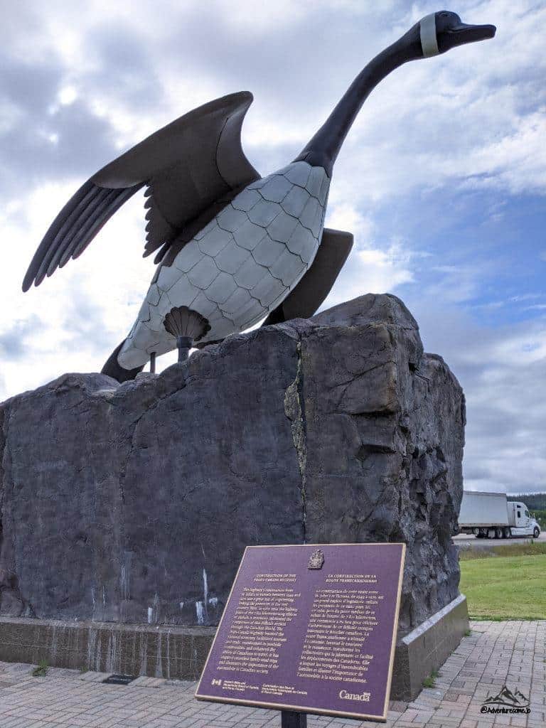 La bernache de Wawa avec ses ailes déployées sur un gros rocher