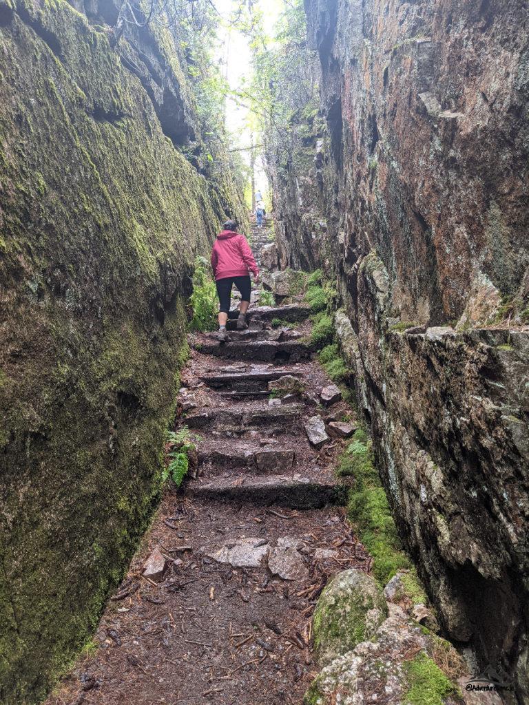 hiking trail in lake superior