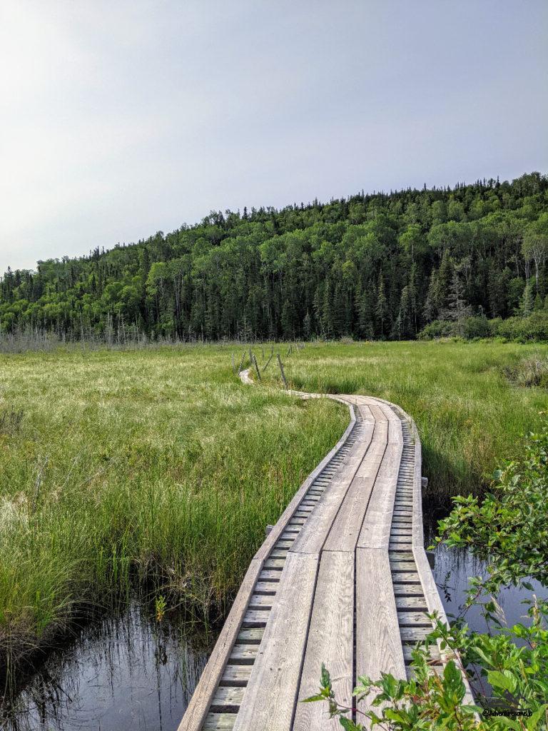 promenade en bois le long des marais en direction d'une forêt dense dans le parc national Pukaskwa