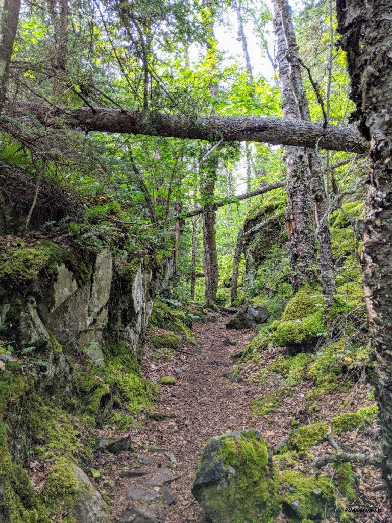 Pukaskwa Coastal Backpacking Trail in Ontario
