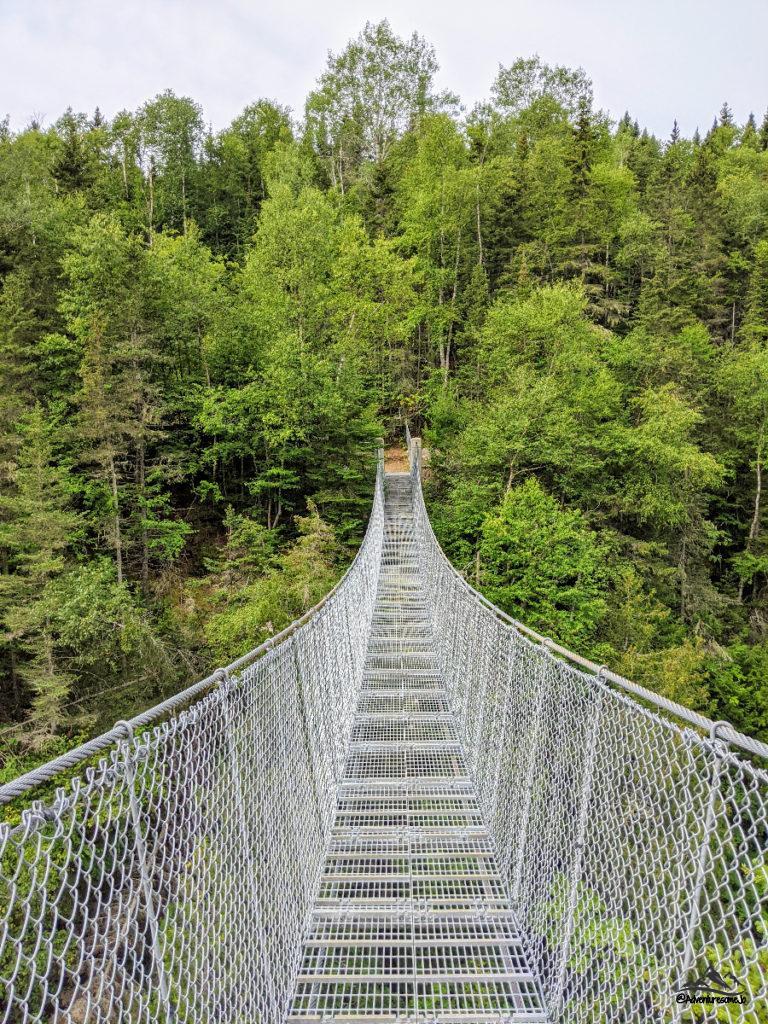 white water suspensioin bridge heading to the forest on the opposite shore in Pukaskwa National Park