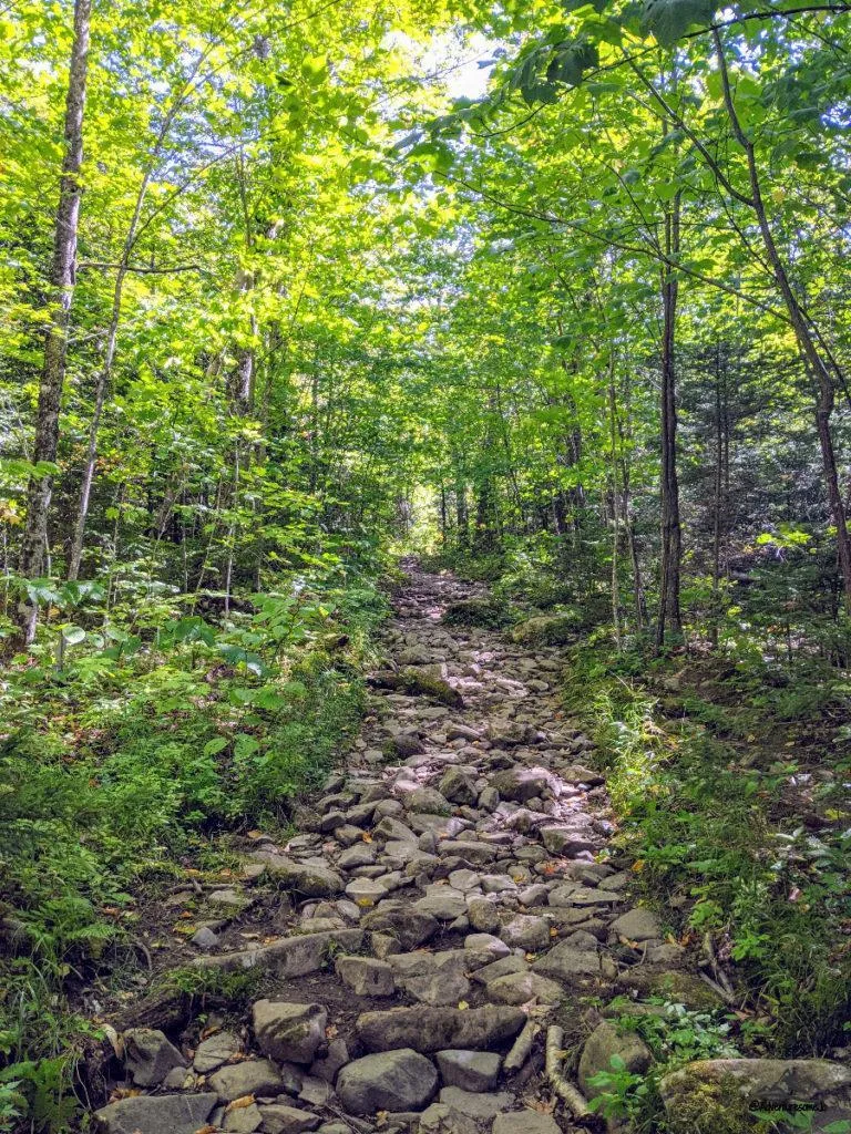 rocky hiking trail bordered by trees to Mont Gosford