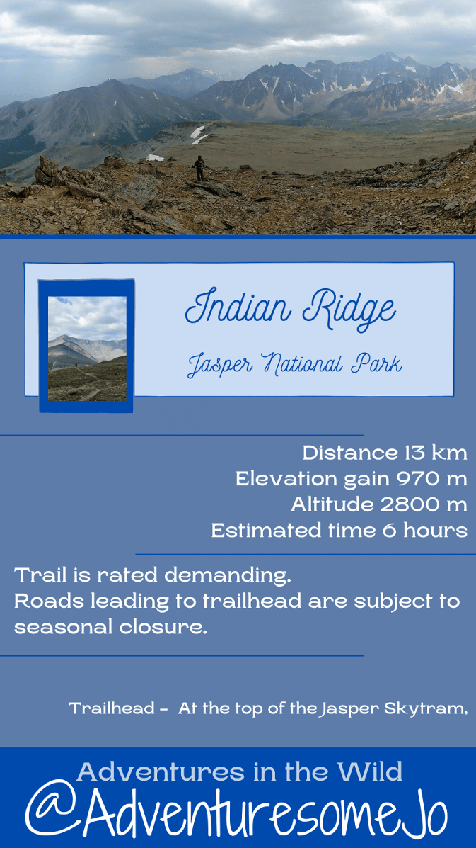Indian Ridge Trail information