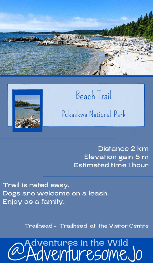 Beach Trail information