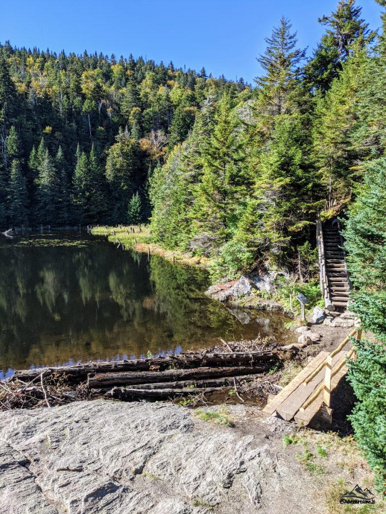stairs going up in the forest beyond the Spruce Lake
