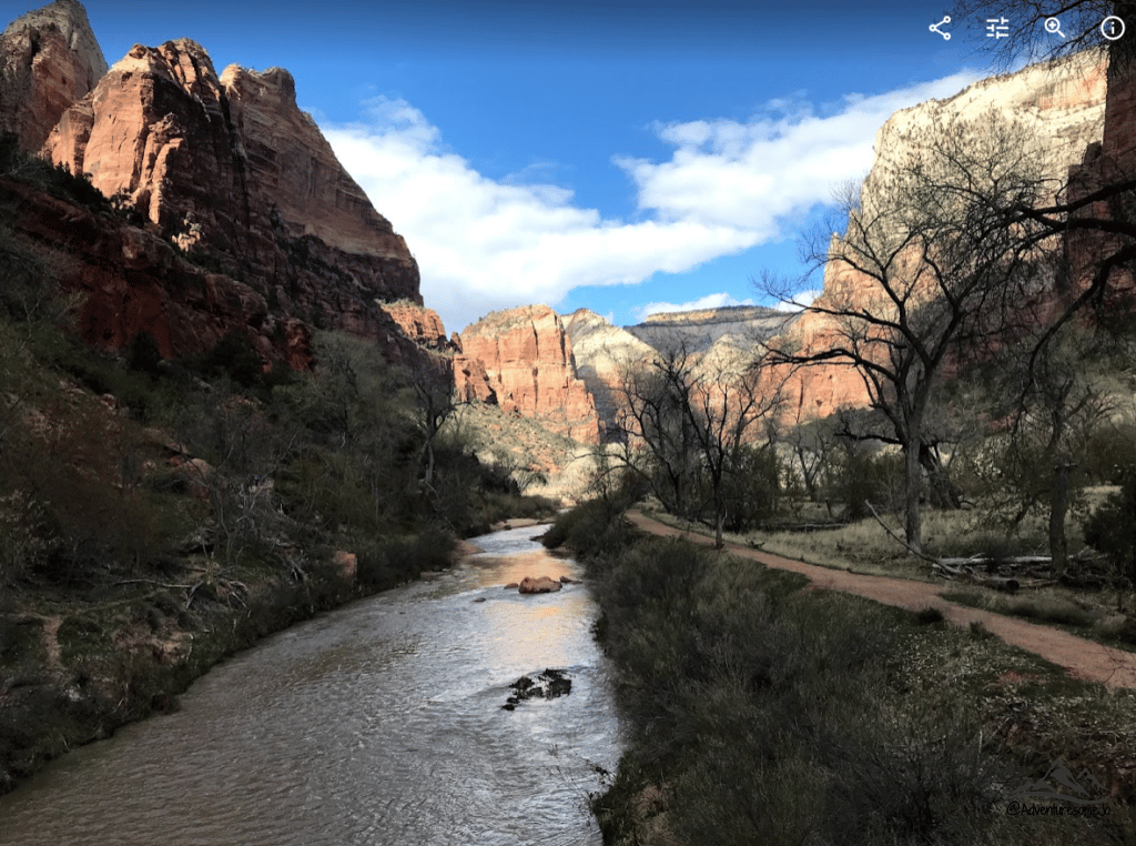 the River Trail following the river with cliffs on each side in Zion National Park