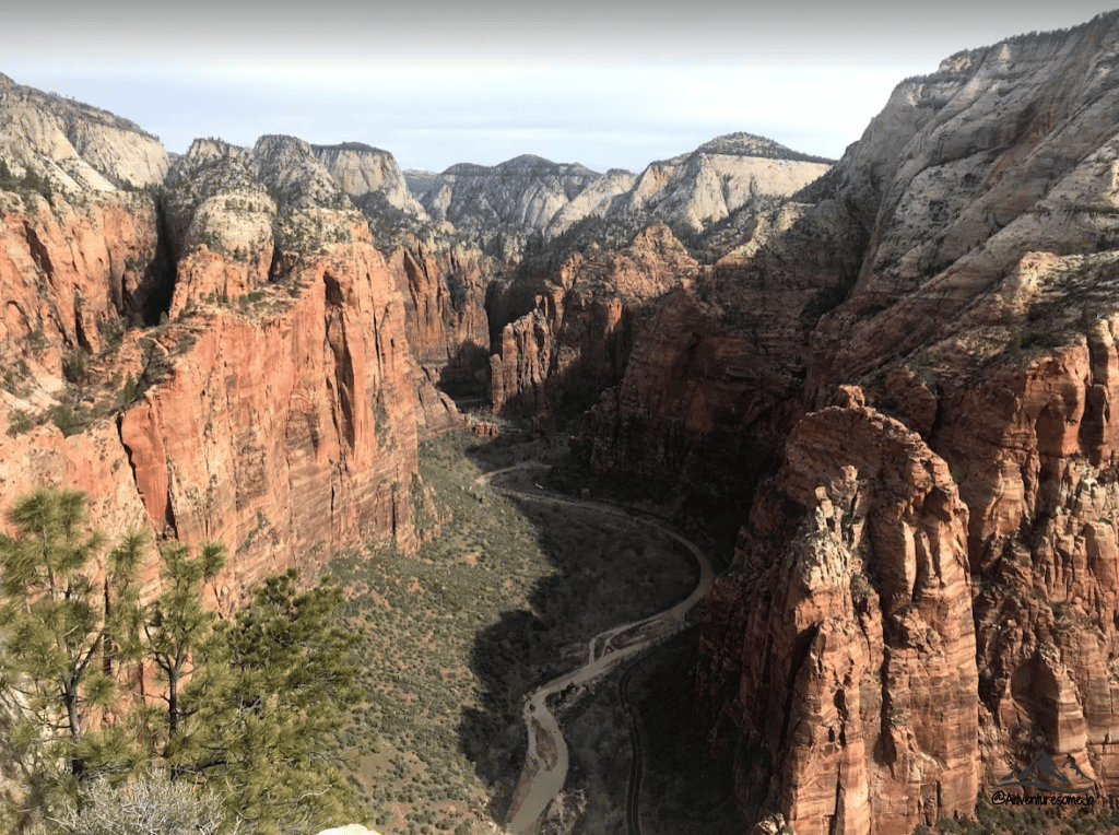 Views from the top of Angels Landing in Zion National Park