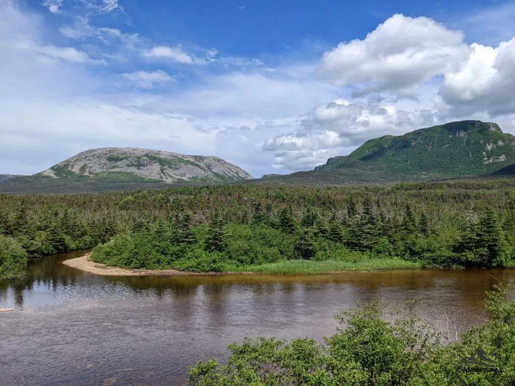 montagne Gros Morne derrière une forêt de conifère