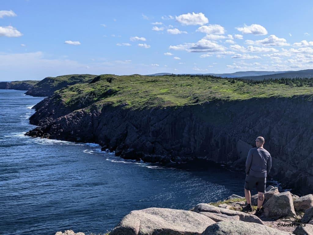 View of Newfoundland's coast
