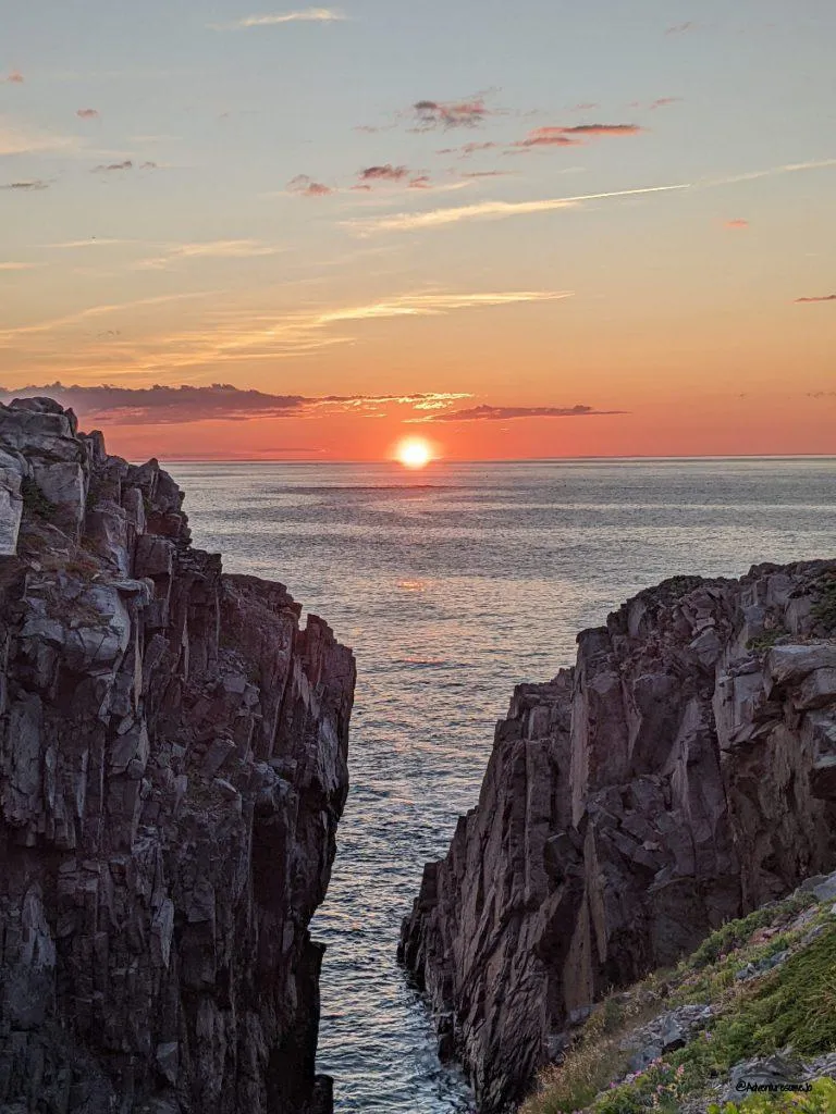 sunset over the sea colouring the sky pink