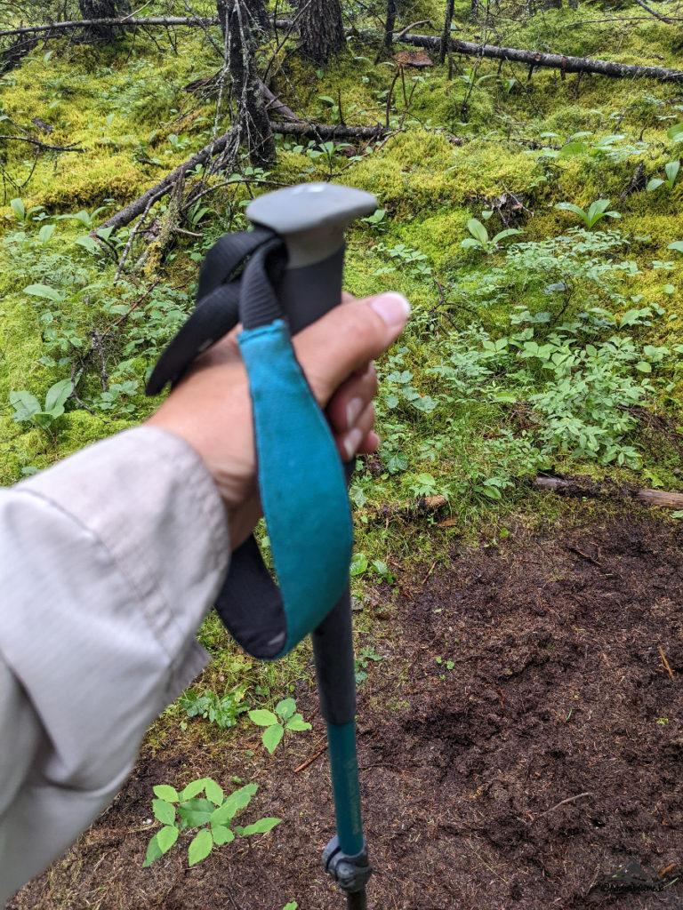 hand through the straps of the hiking pole holding the grip