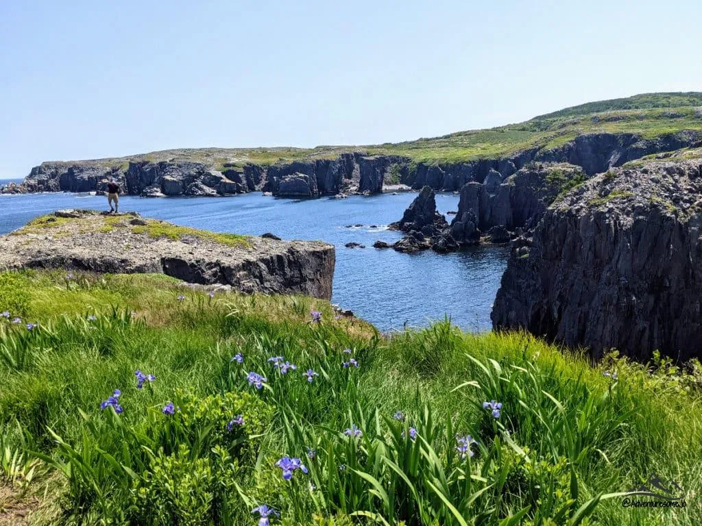 hiking views on the Spillars Cove Trail
