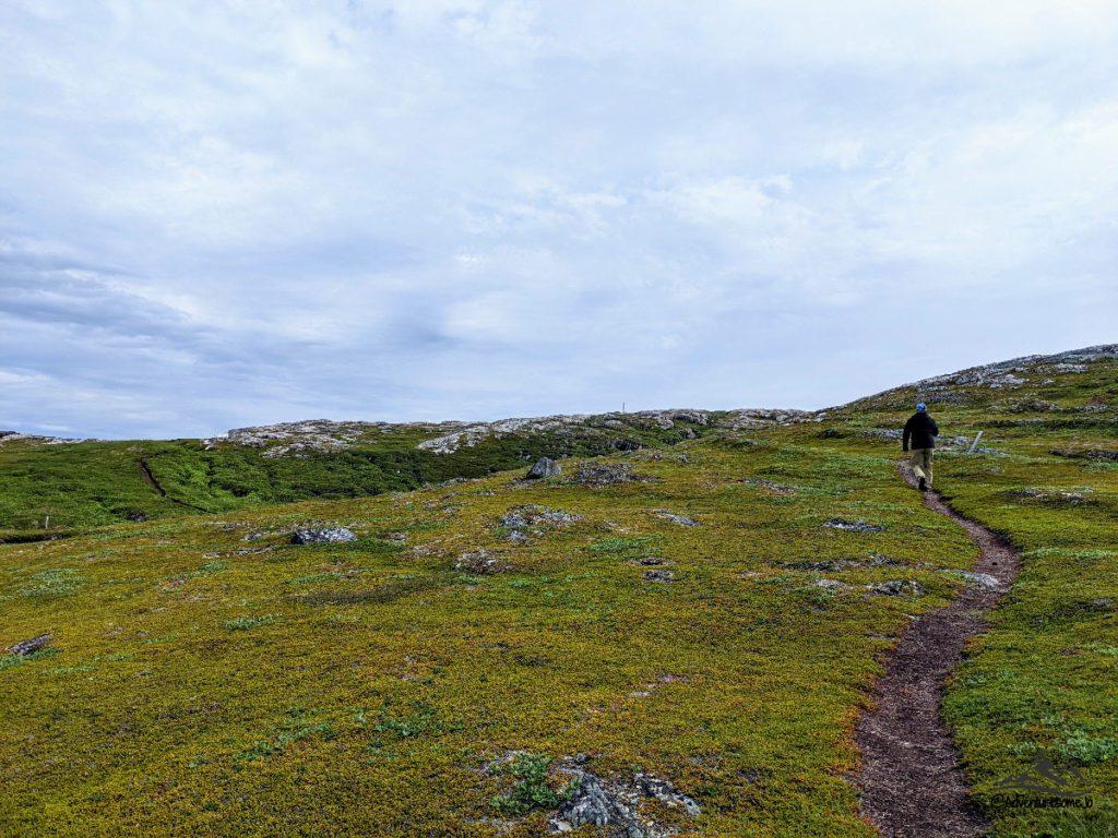 Dirt packed hiking trail on Battle Island behind Battle Harbour
