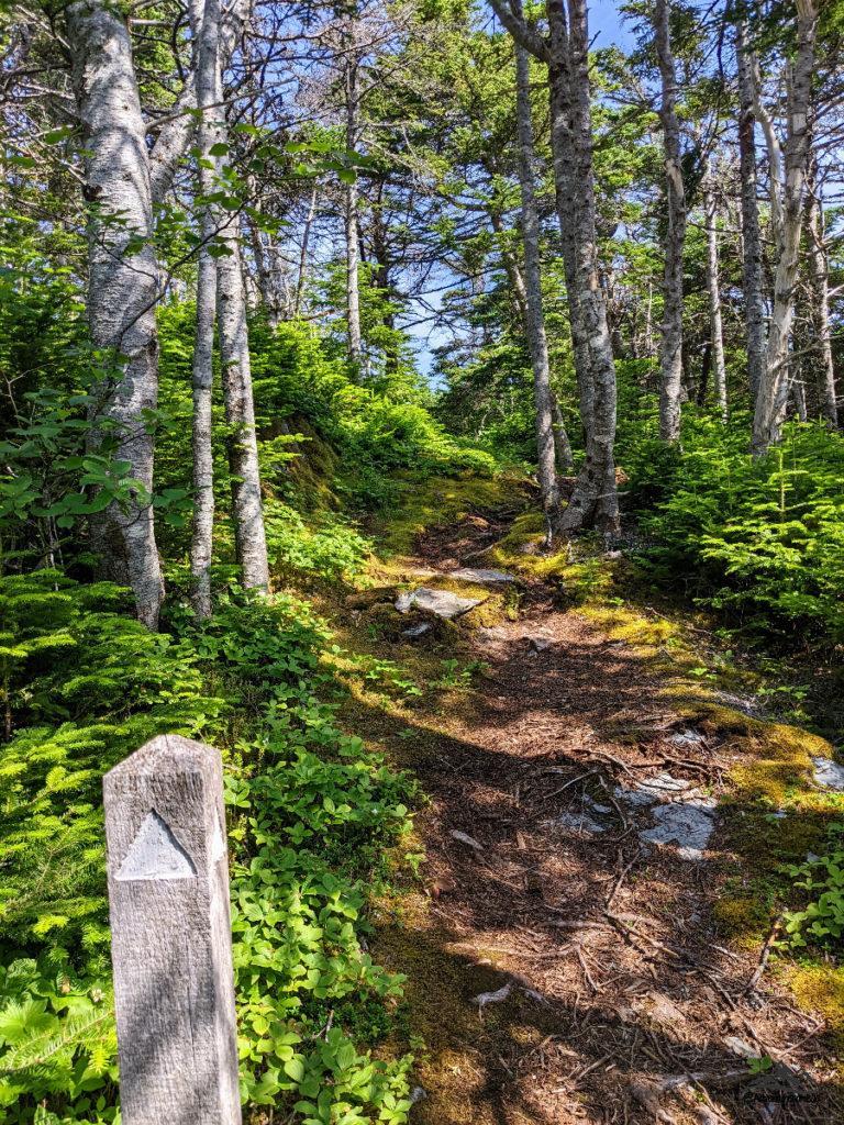 dirt packed trail on the east coast
