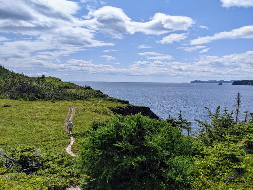 hiker on a dirt trail in a meadow on the shore of the ocean near Trinity