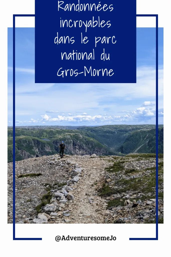 randonneur au sommet de Gros Morne
