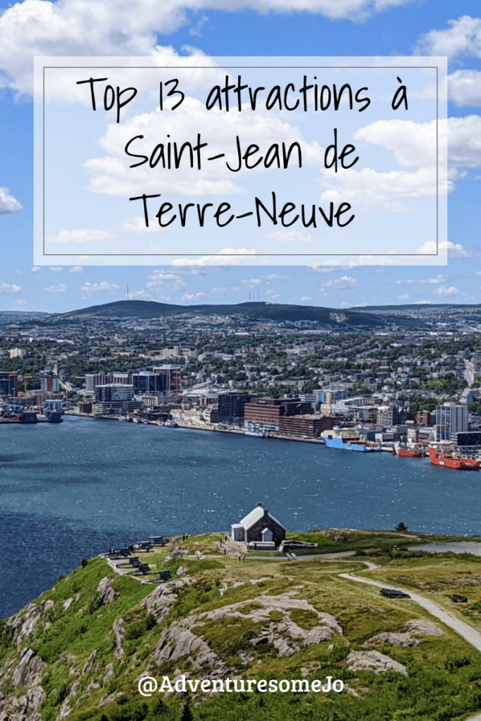 vue du port de St. Jean de Terre-Neuve