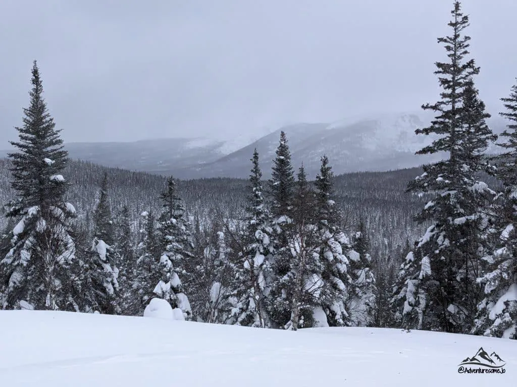 view of surrounding mountains on the Ernest Laforce Mountain Hike in Gaspésie in the winter