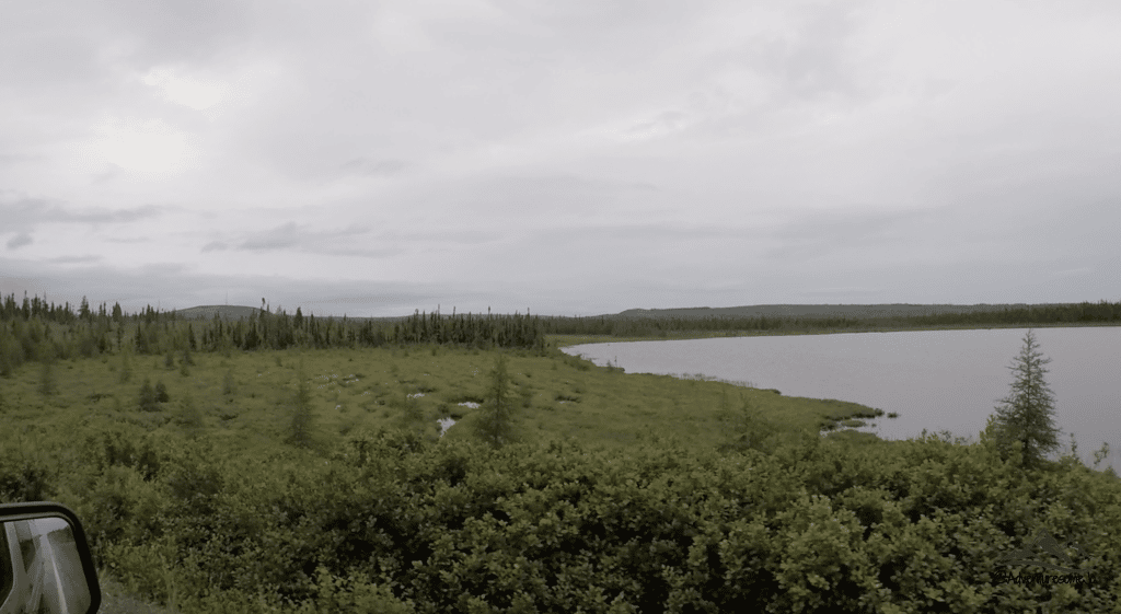 un lac et quelques petit arbre sur la route translabradorienne lors d'un road trip au Labrador