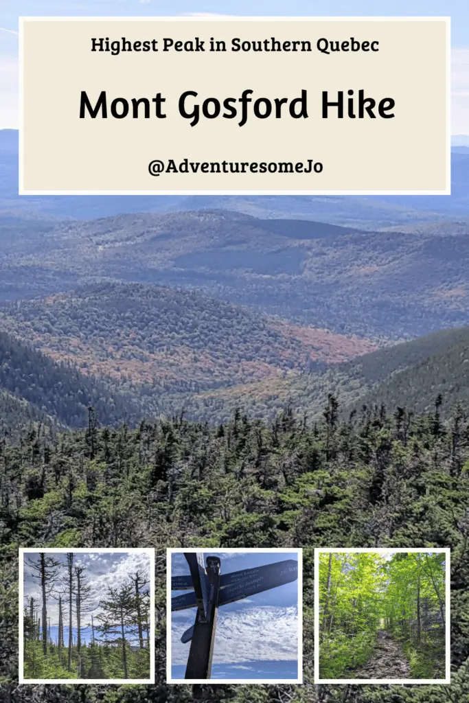 lookout to the hills of trees with fall colours from the mont Gosford