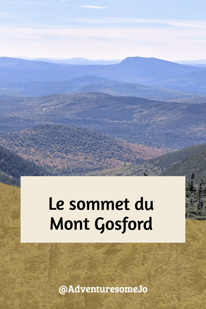 vue des monts et de la forêt en autonme à partir du mont Gosford