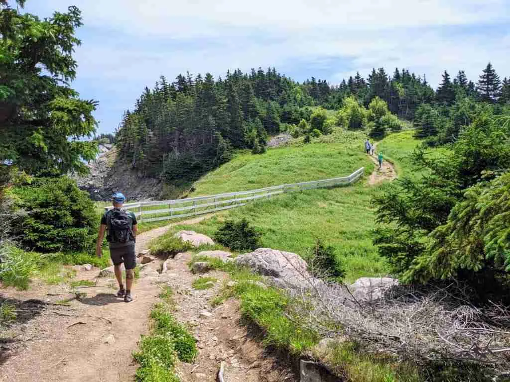Randonneur en direction d'un pré sur le sentier Middle Head à Ingonish en Nouvelle-Écosse