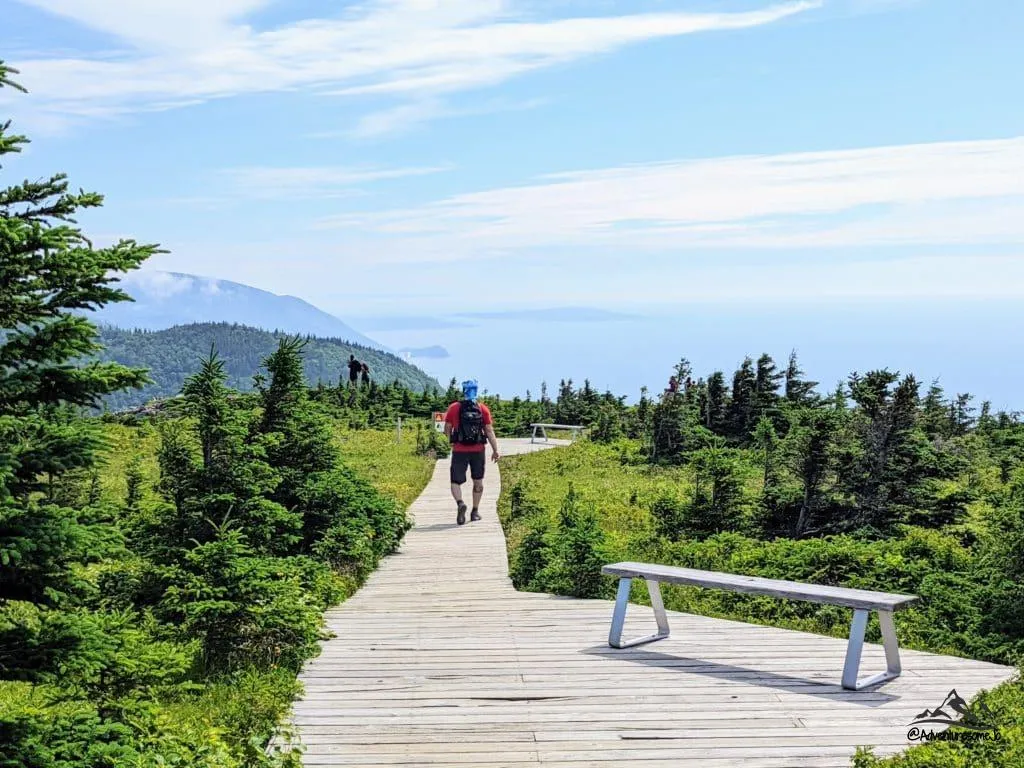 walking on the boardwalk on the Skyline Trail in Cape Breton Highlands National Park