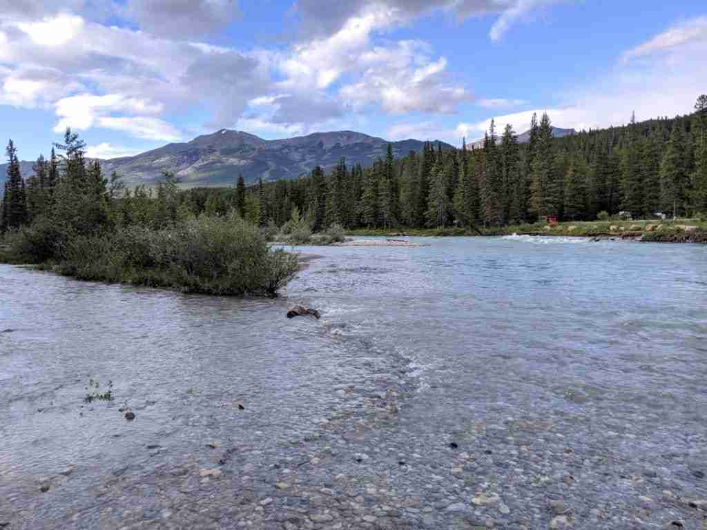 The Bow River from the trail on a family hike in the Rockies