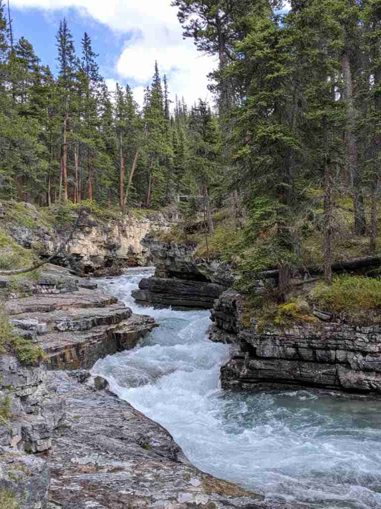 Family Hike along Beauty Creek with water cascading down the river