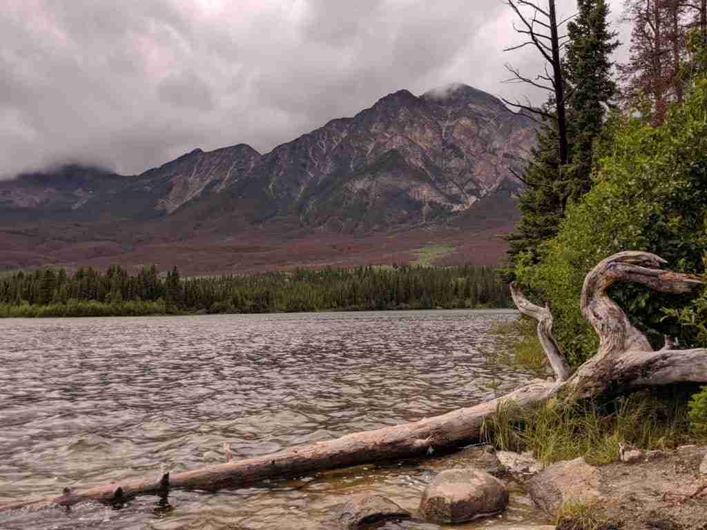 Pyramid Mountain behind Pyramid Lake with a log across the shore