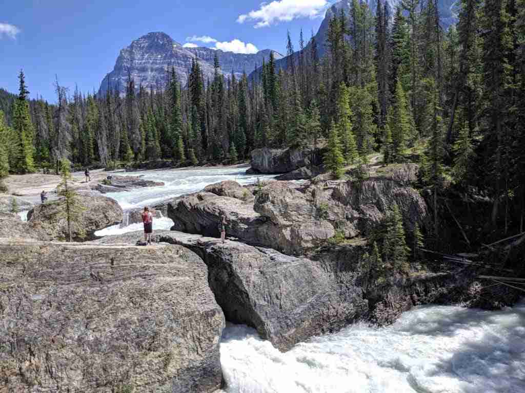 The Natural Bridge made of rock formations with raging water under it in the Canadian Rockies