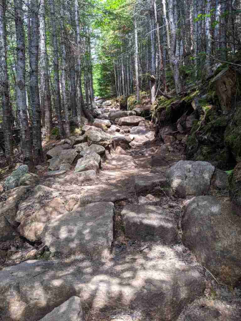 rocks making up stairs on the trail bordered by trees