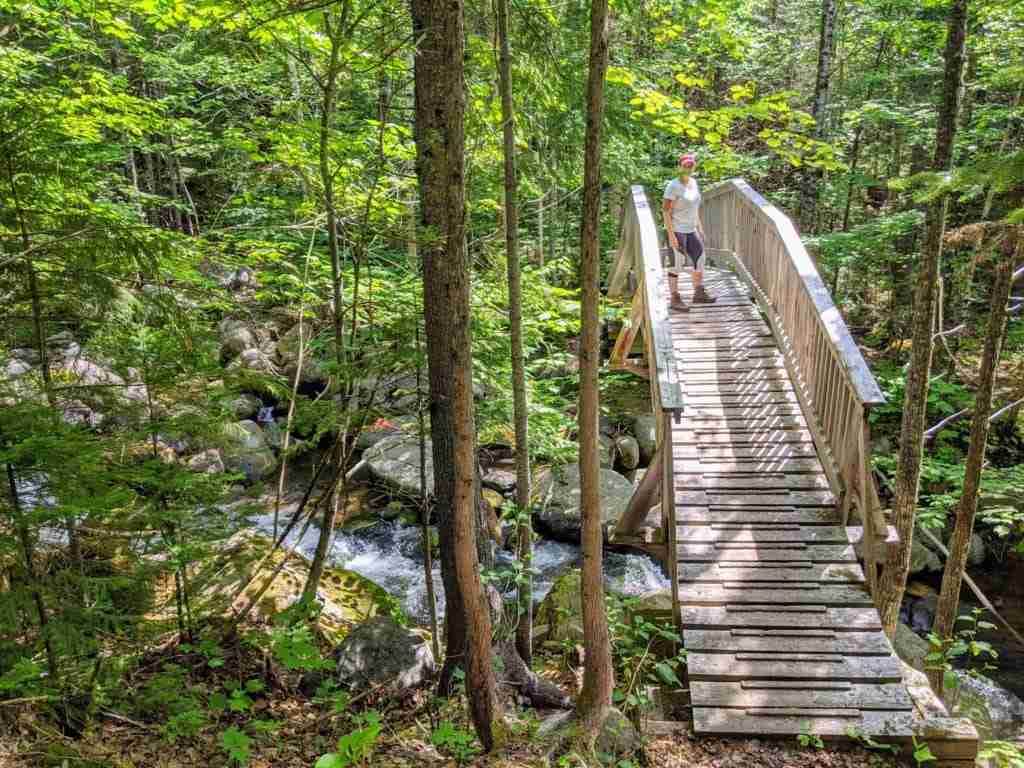 hiker on a footbridge crossing a river in the green forest