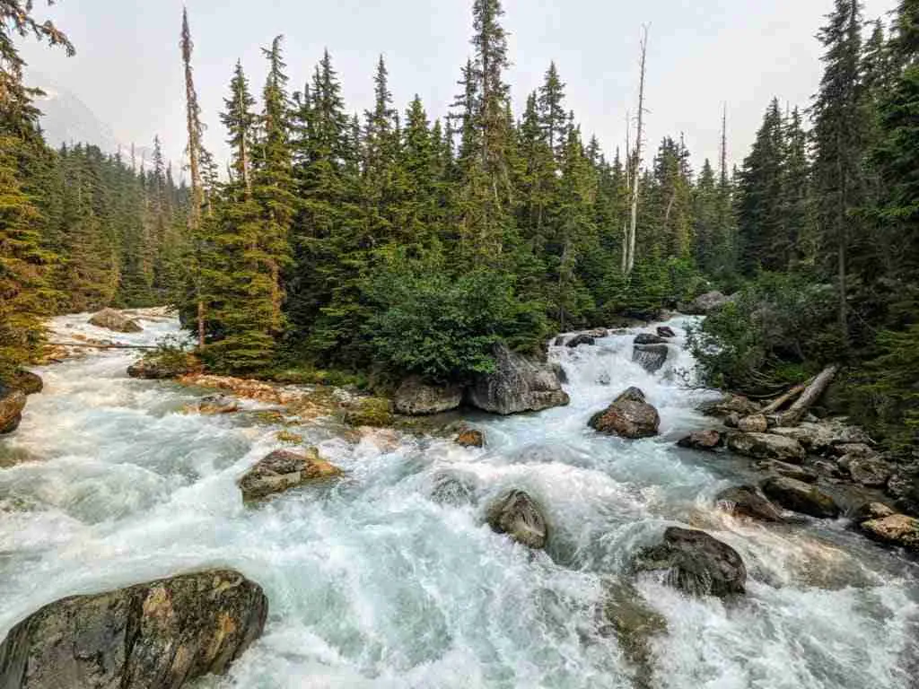 The two rivers meeting on a hike in Glacier National Park in the Canadian Rockies