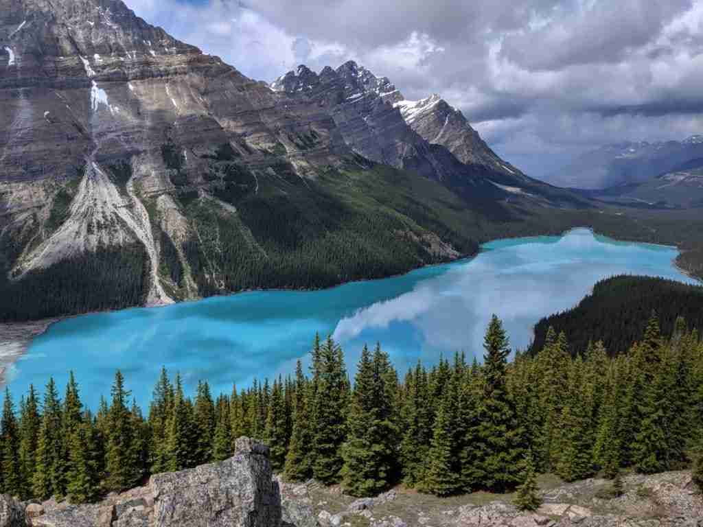 Peyto Lake from the Viewpoint on the Icefields Parkway