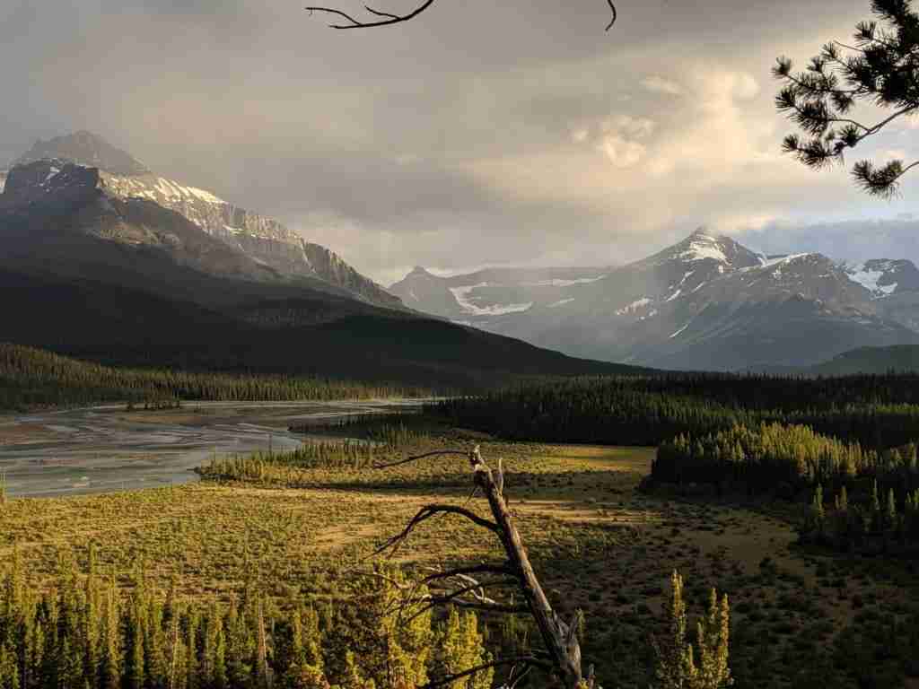 View of Howes Pass on the Icefields Parkway