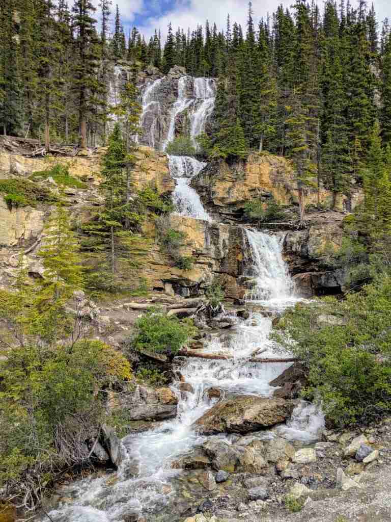 Tangle Creek Falls cascading down rocks and cliffs bordered by conifers on the Icefeilds Parkway