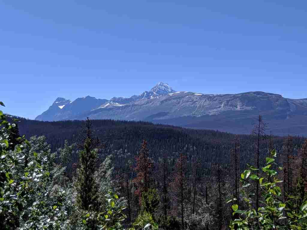 View of Mount Edith Cavell from the Icefields Parkway