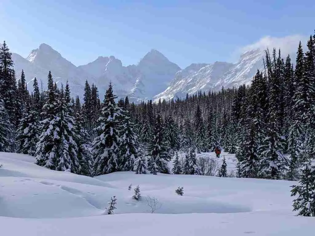 meadow with snow-covered pine trees and mountains in the distance on Chester Lake Trail in winter