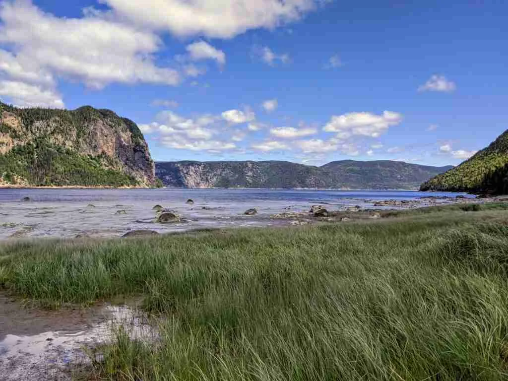 sand and grass on the beach near the backcountry campsite in Saguenay Fjord National Park