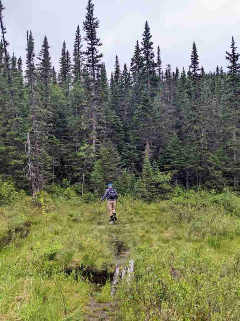 crossing marshed on the hiking trail to mont Harfang in the Monts Groulx